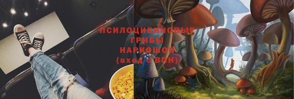 mix Горняк