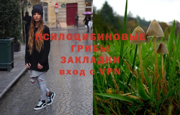 эйфоретик Горнозаводск