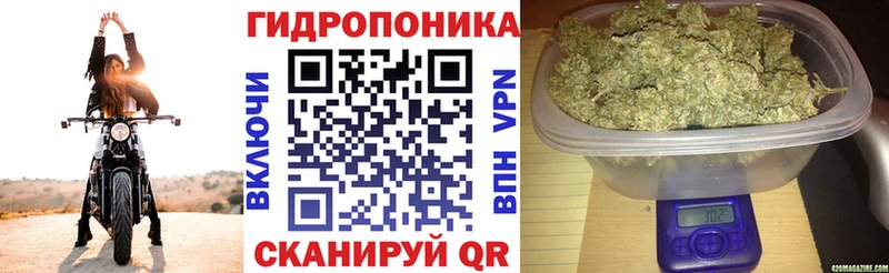 Бошки марихуана тримм  где продают   MEGA как войти  Кувандык 